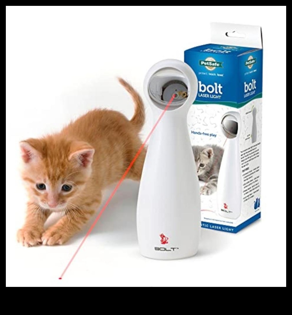 شعيرات حكيمة: هدايا لمحبي القطط