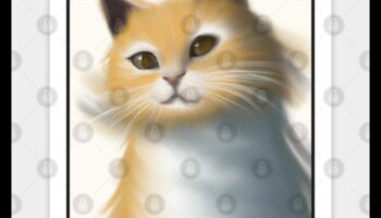 شعيرات حكيمة: هدايا لمحبي القطط