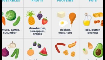 الأنظمة الغذائية منخفضة الكربوهيدرات وعافية الجهاز الهضمي: نظرة شاملة