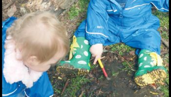 عش الطبيعة: خلق بيئة محفزة لنمو الطفل