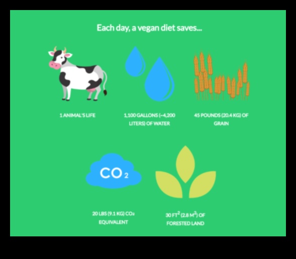 التأثير البيئي لنمط الحياة النباتي