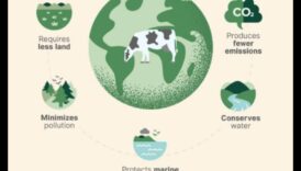 التأثير البيئي لنمط الحياة النباتي